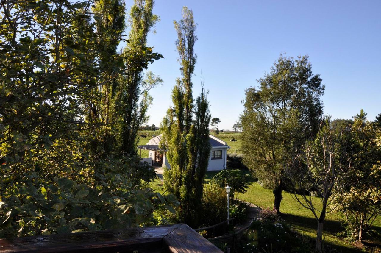 Tsitsikamma Gardens Cottages Self-Catering Cottages Sanddrif 外观 照片